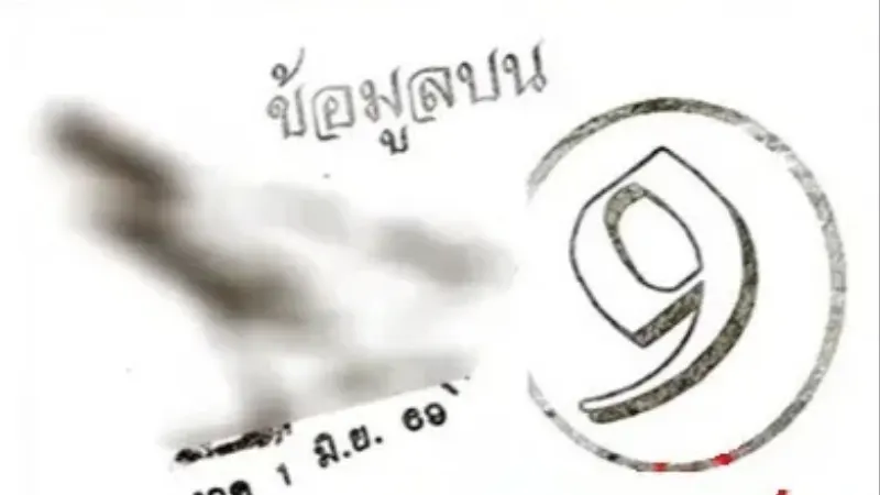 แนวทางหวยนกตาทิพย์ งวด 1 มิถุนายน 2569 ส่องเลขเด่น เลขดังน่าตามจาก spannet